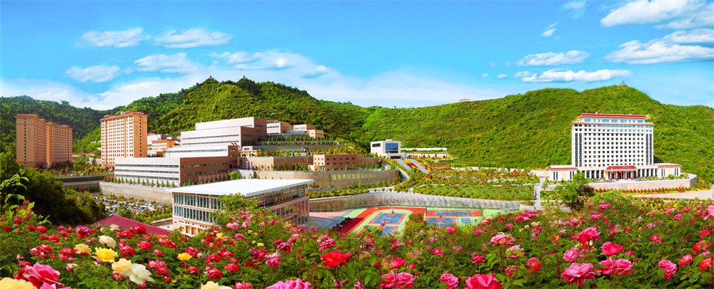 三季有花、四季常青的金徽股份.jpg