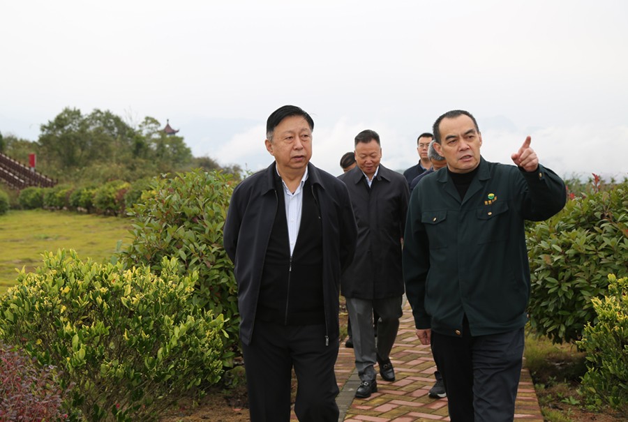 19-2021年10月，原國(guó)土資源部副部長(zhǎng)汪民蒞臨公司調(diào)研。.jpg
