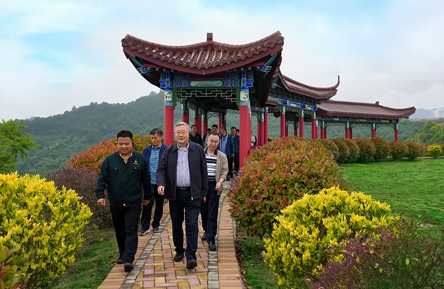 49-2022年5月，省工信廳副廳長(zhǎng)王海峰一行蒞臨金徽股份調(diào)研綠色礦山建設(shè)工作。.jpg