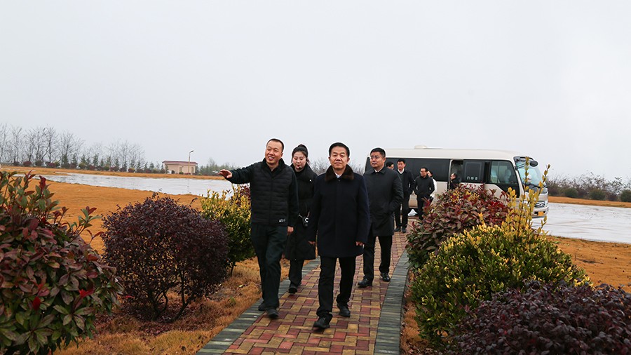 45-2020年12月，省高級(jí)人民法院黨組成員、副院長(zhǎng)任建國(guó)蒞臨金徽股份調(diào)研知識(shí)產(chǎn)權(quán)司法保護(hù)工作。.jpg