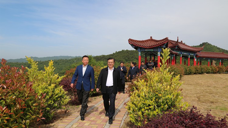 省人民檢察院黨組書記、檢察長朱玉調(diào)研金徽股份